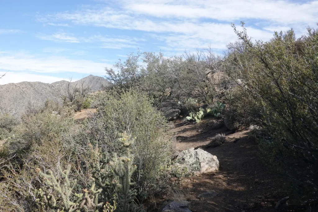 Grand Enchantment Trail Sandia Ridge