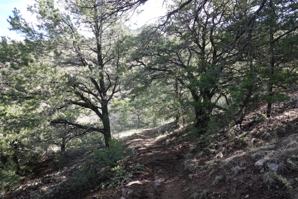 Grand Enchantment Trail Sandia Ridge