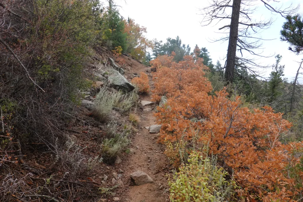 Grand Enchantment Trail Sandia Ridge