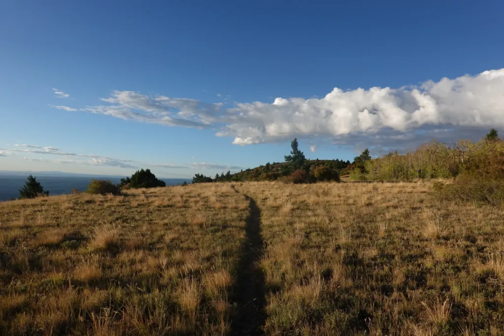 Grand Enchantment Trail Manzano Mountains