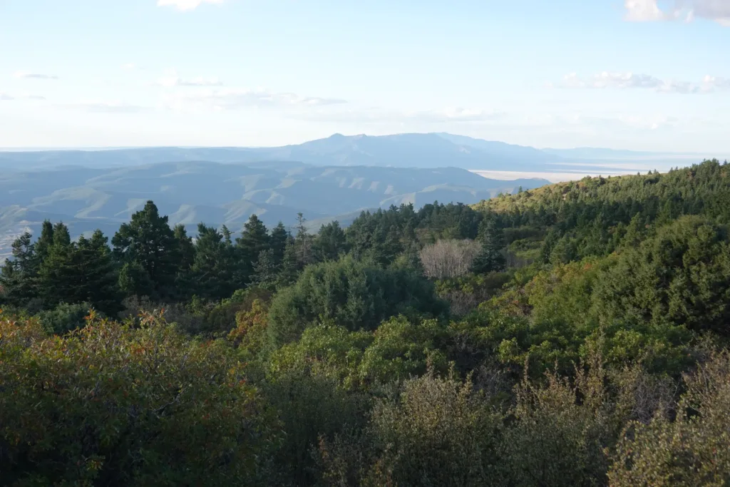 Grand Enchantment Trail Manzano Mountains
