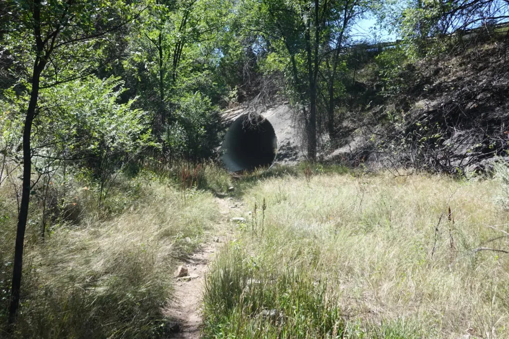 Grand Enchantment Trail Manzano Mountains