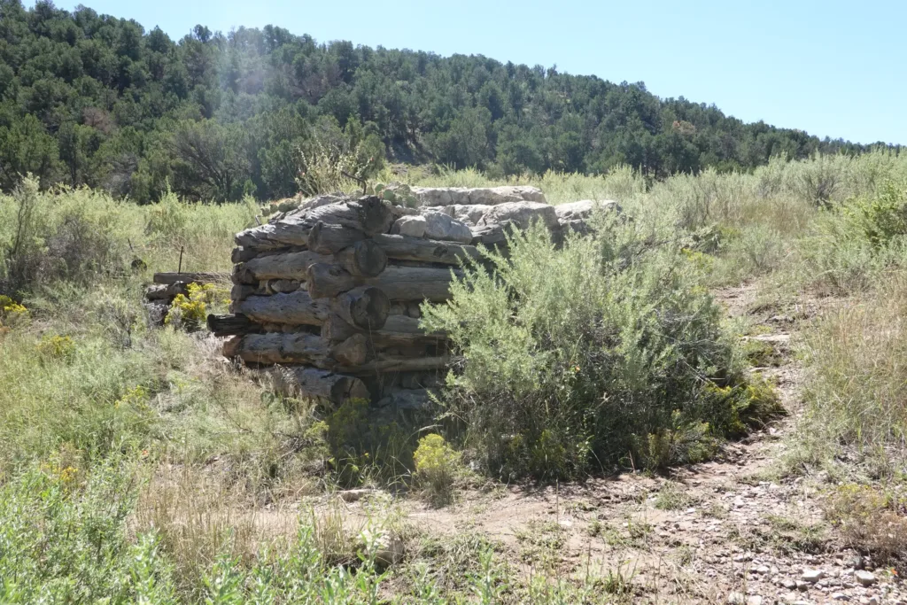Grand Enchantment Trail Manzano Mountains