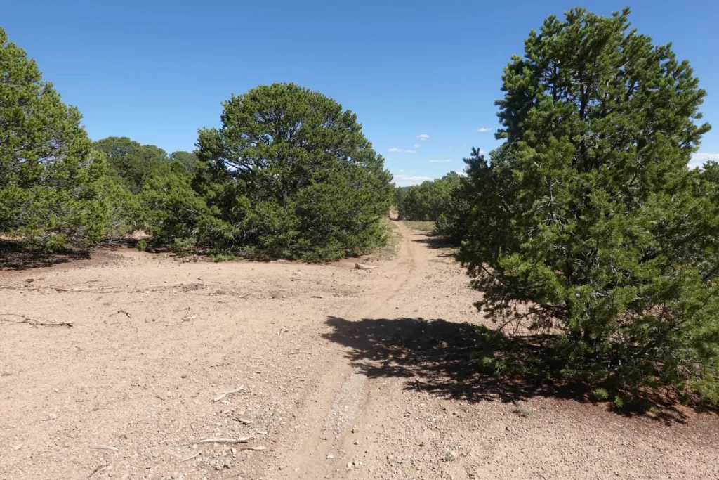 Grand Enchantment Trail Manzano Mountains