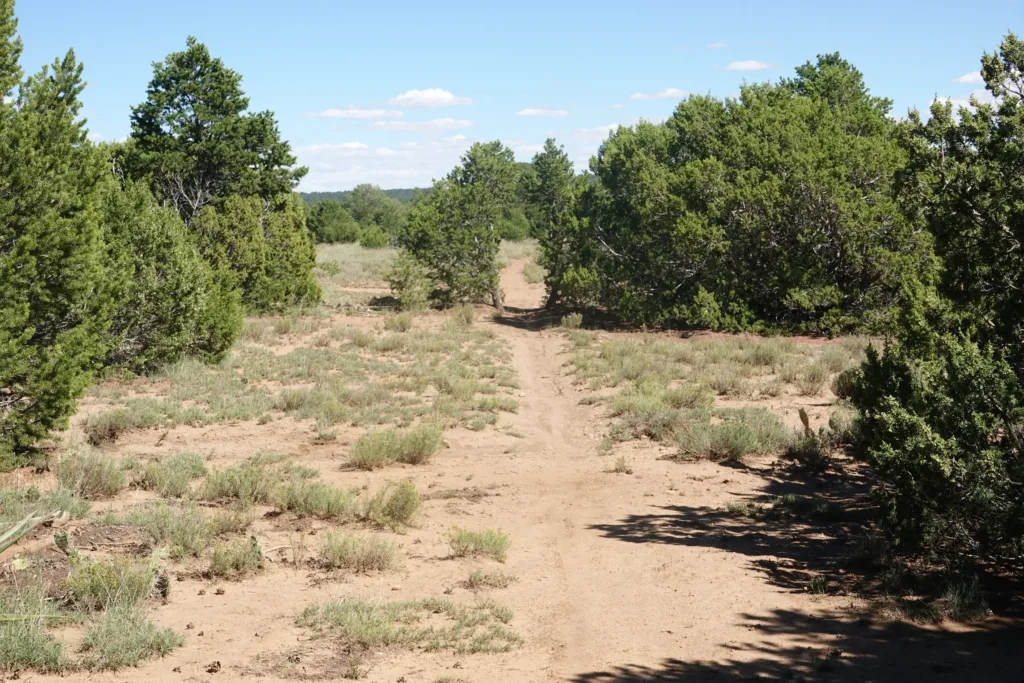 Grand Enchantment Trail Manzano Mountains