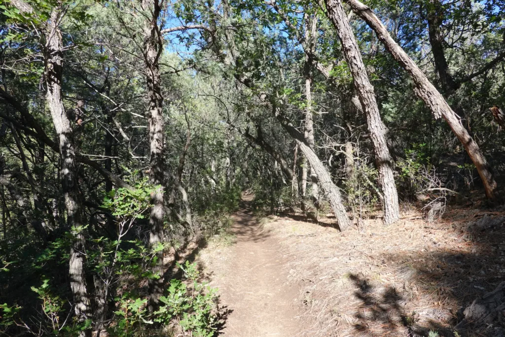 Grand Enchantment Trail Manzano Mountains