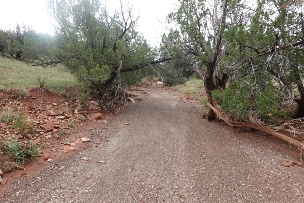Grand Enchantment Trail Sevilleta