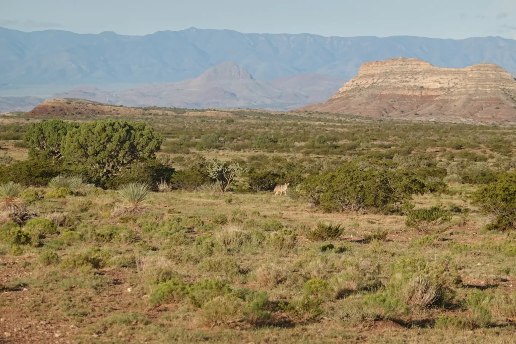 Grand Enchantment Trail Rio Grande