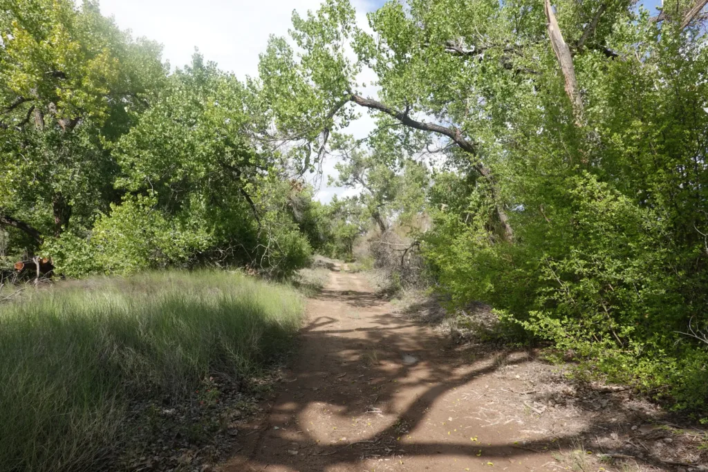 Grand Enchantment Trail Rio Grande