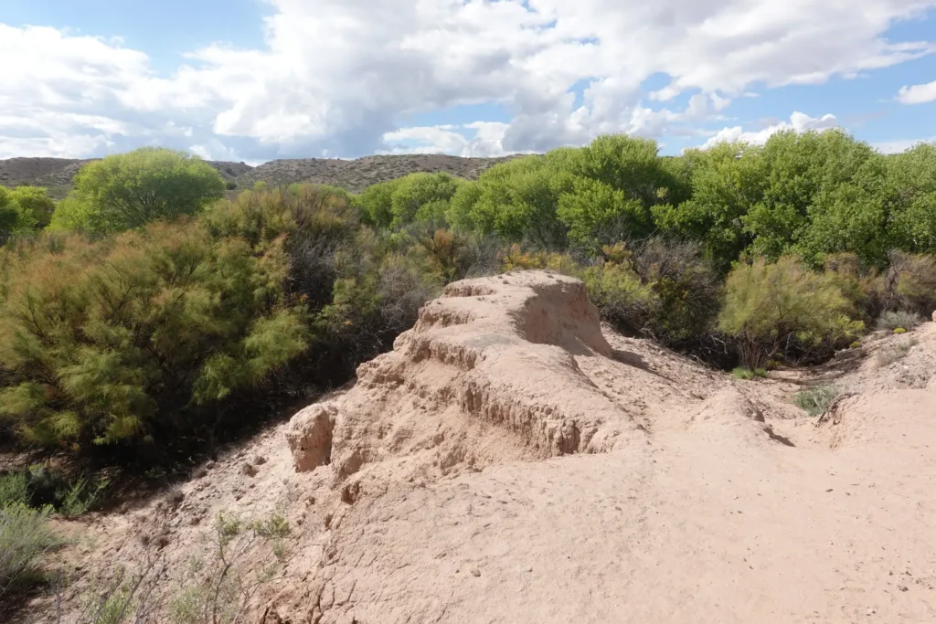 Grand Enchantment Trail San Lorenzo Canyon