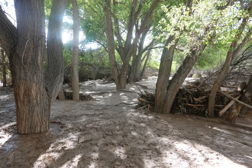 Grand Enchantment Trail San Lorenzo Canyon