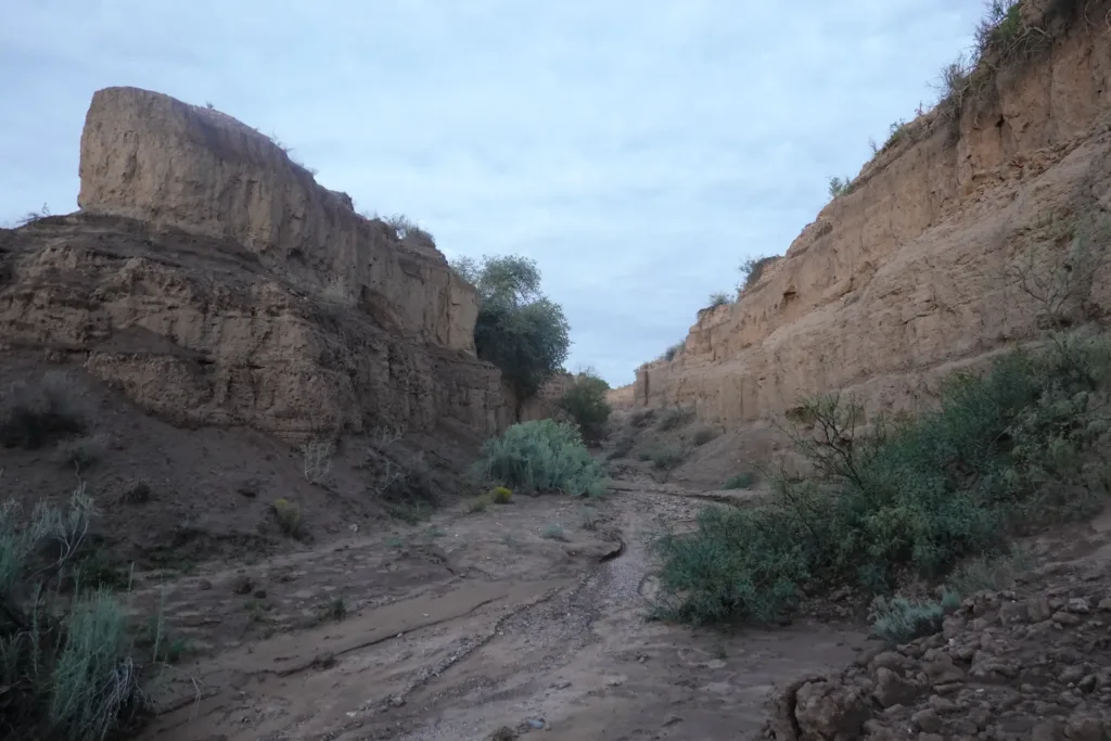 Grand Enchantment Trail Into Magdalena