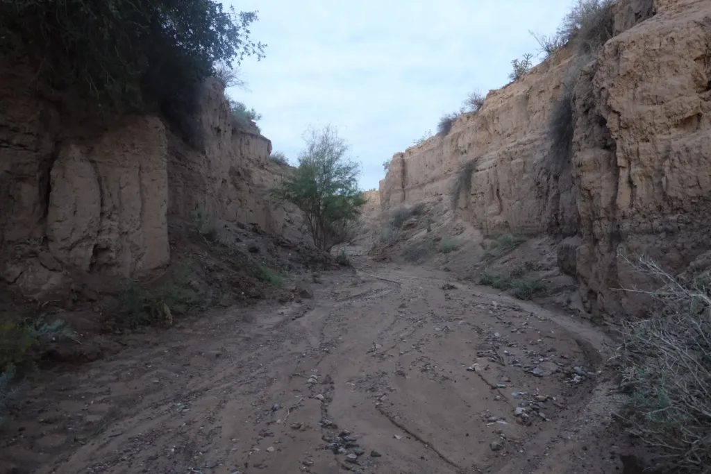 Grand Enchantment Trail Into Magdalena
