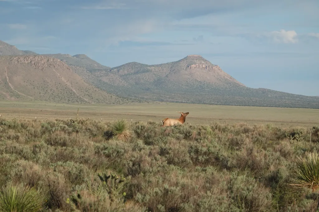 Grand Enchantment Trail Into Magdalena