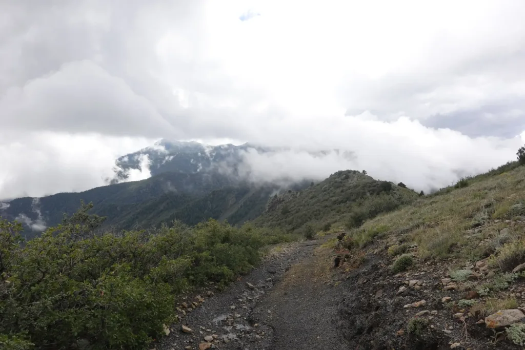 Grand Enchantment Trail Magdalena Mountains