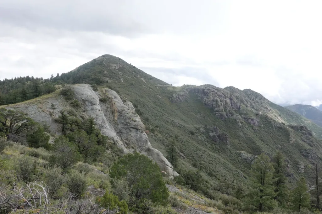 Grand Enchantment Trail Magdalena Mountains