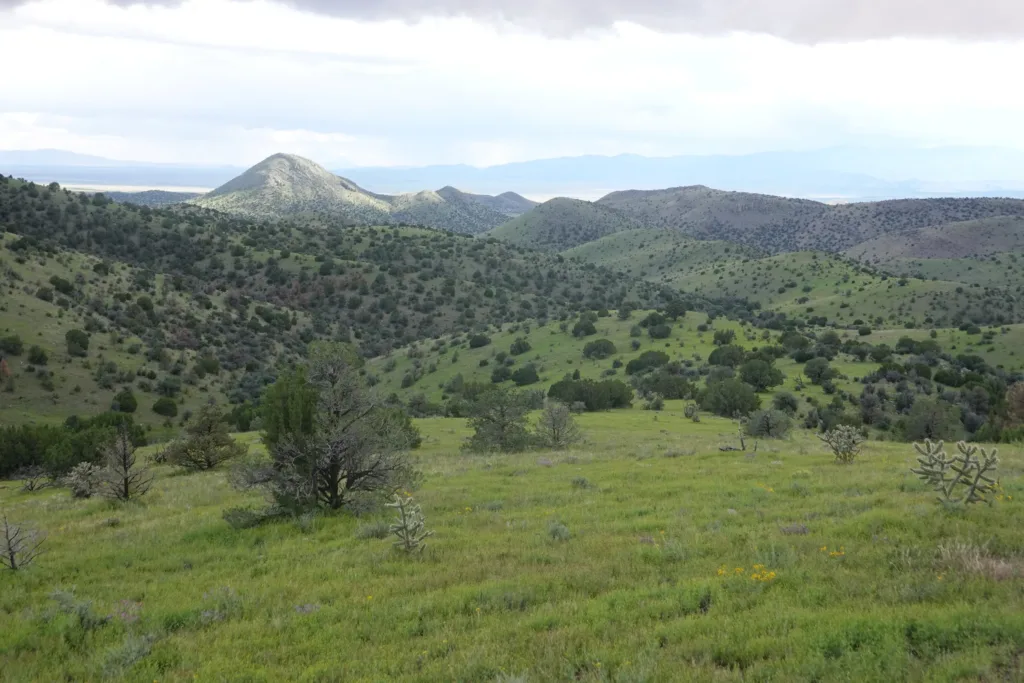 Grand Enchantment Trail Magdalena Mountains