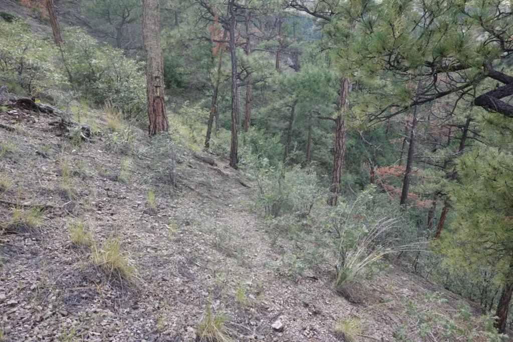 Potato Canyon
