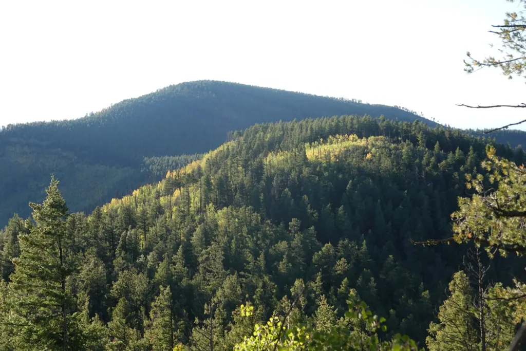 San Mateo