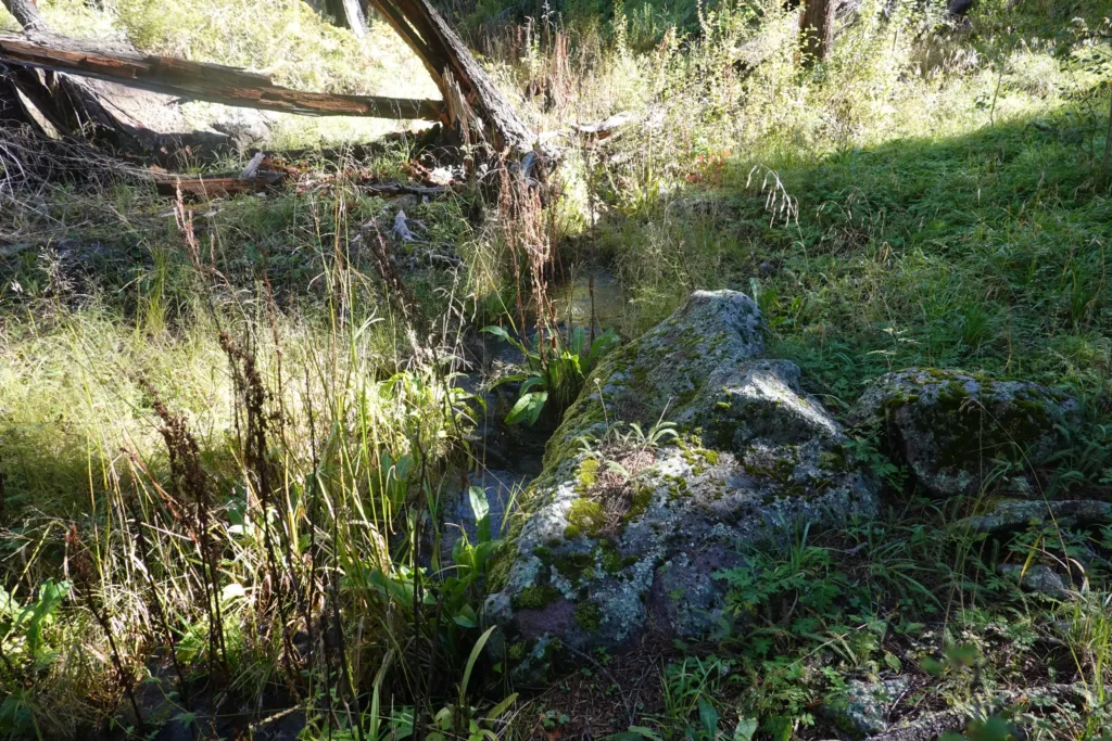 San Mateo