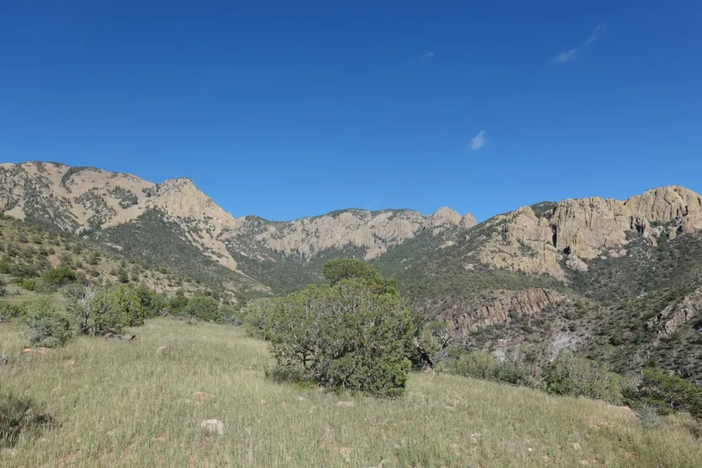 San Mateo