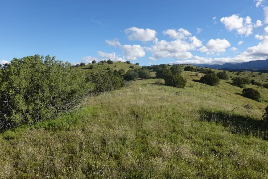 Ranch land