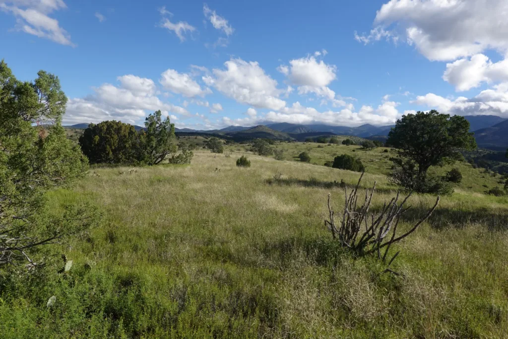 Ranch land