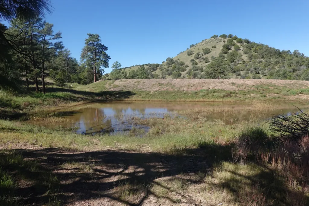 Ranch land