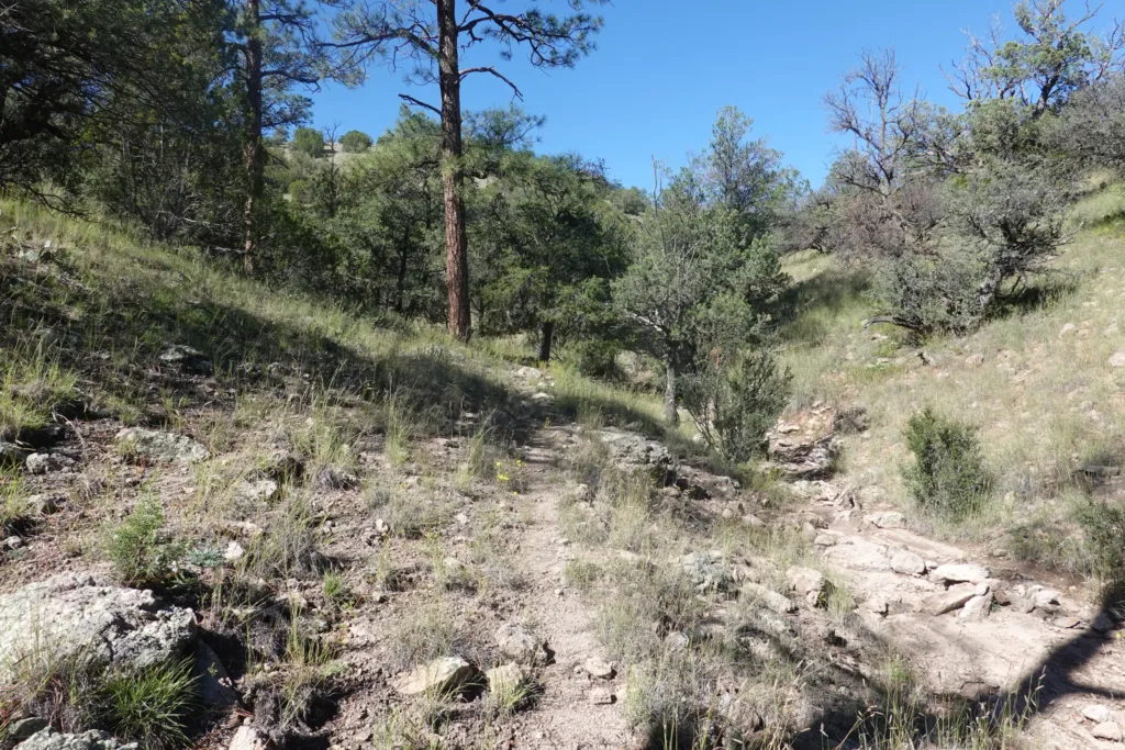 Ranch land