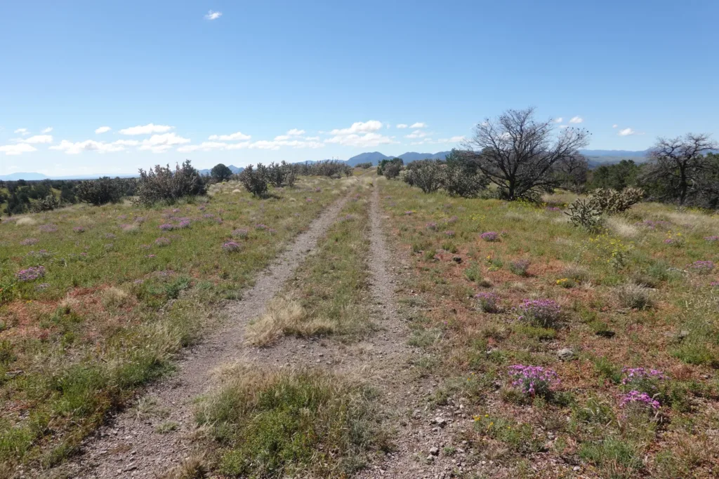Ranch land