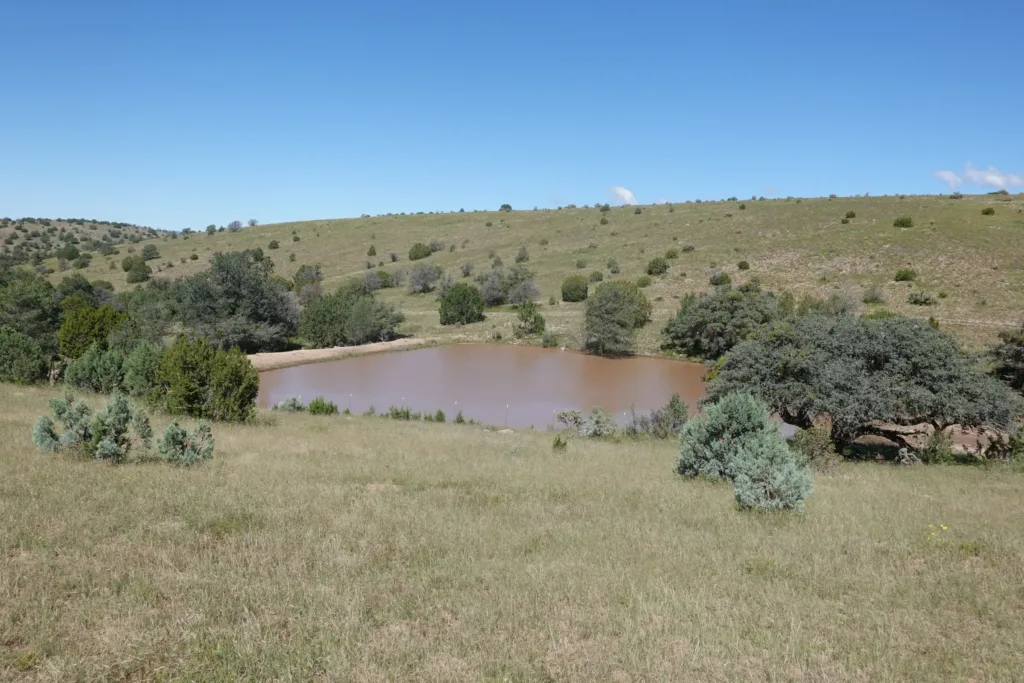 Ranch land
