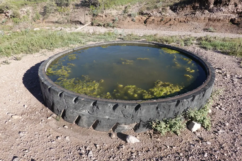 Ranch land